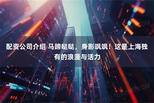 配资公司介绍 马蹄哒哒，身影飒飒！这是上海独有的浪漫与活力