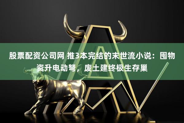 股票配资公司网 推3本完结的末世流小说：囤物资升电动弩，废土建终极生存巢